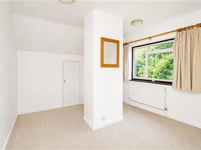 Picture 24